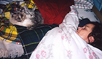 Bodhi and Zoe sleeping with Zane