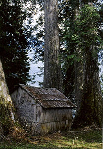 BC Canada