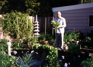 garden scene