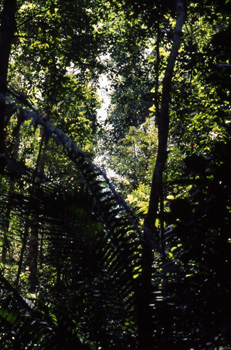 Malaysia