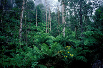 se Australia
