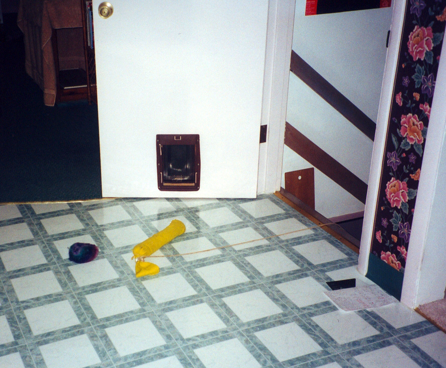 Bodhi and Zoe sleeping